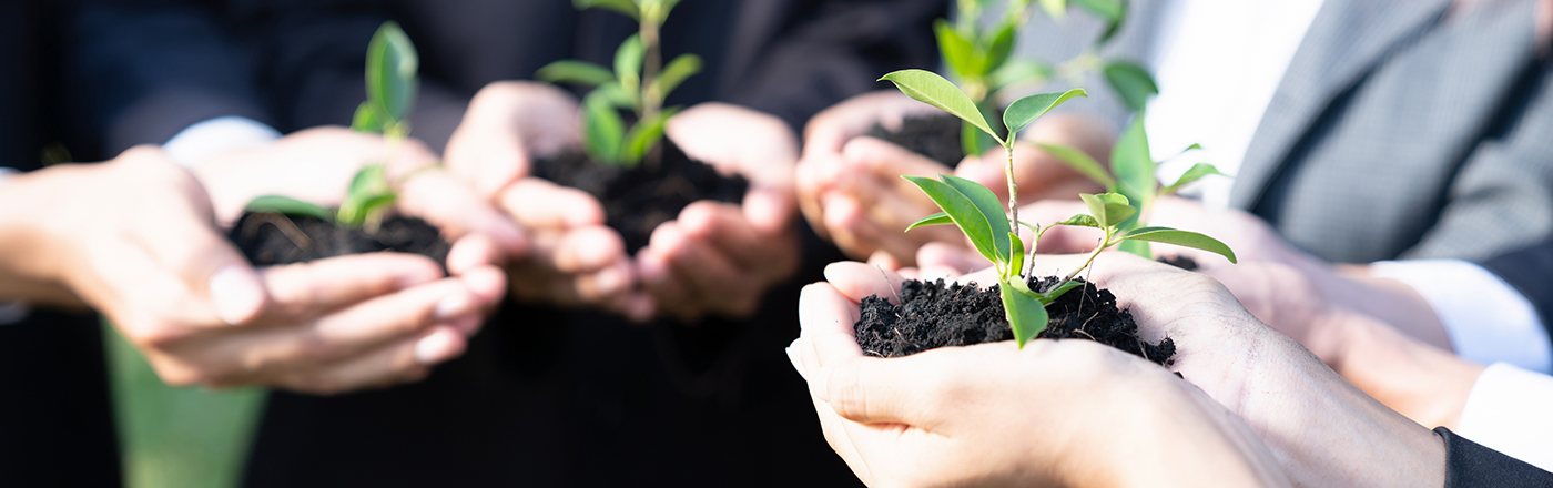 People holding young plants